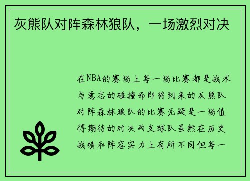 灰熊队对阵森林狼队，一场激烈对决